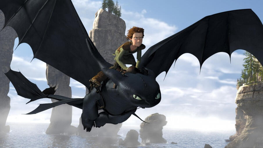 Hiccup Haddock the 3rd How to Train Your Dragon