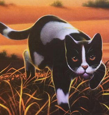 Tallstar Warrior Cats